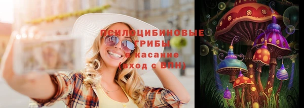 стаф Алексеевка