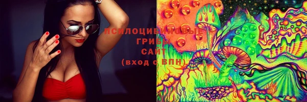 стаф Алексеевка