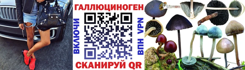 купить наркоту  гидра ссылка  Галлюциногенные грибы Cubensis  Пущино 